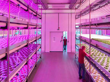 led-Lighting-supplier