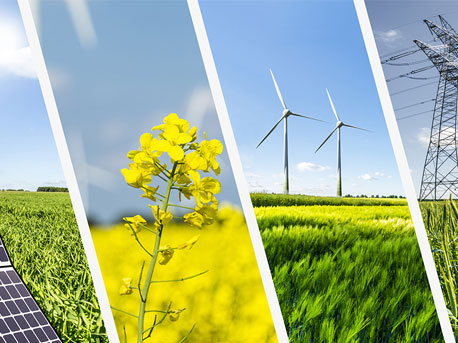 Renewable-Energy supplier