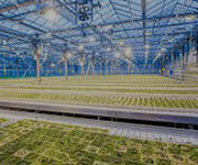 Smart farming Smart farming