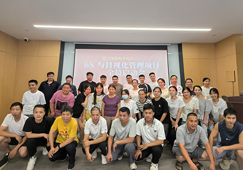 Company Organizes Company-wide 6S Management Theory Training Session